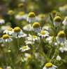 Single News